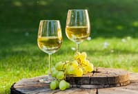  143) Chardonnay Binyamina White wine glass 