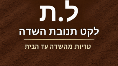 🍇 שוק ל.ת פירות וירקות פרימיום 🍎