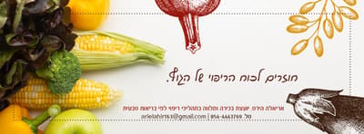 תפריט בריא