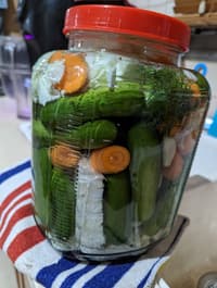 חמוצים ביתיים