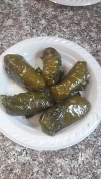 עלי גפן ממולאים / דולמדקיה
