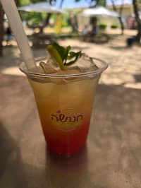 חליטה גלילית