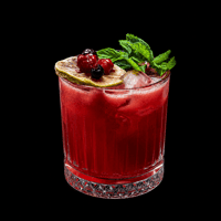 WildBerry Gin