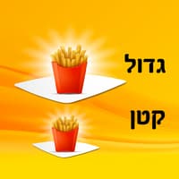 צ׳יפס קטן / גדול
