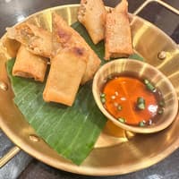 81) Vegetables Spring Rolls
